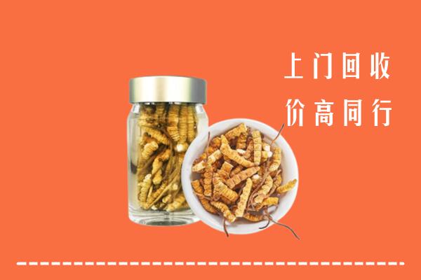 收购行情：阜阳回收冬虫夏草